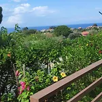 Casa Ibiscus Tropea Holiday home