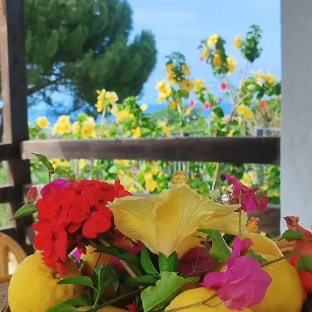 Casa Ibiscus Tropea Vakantiehuis Santa Domenica (Vibo Valentia)