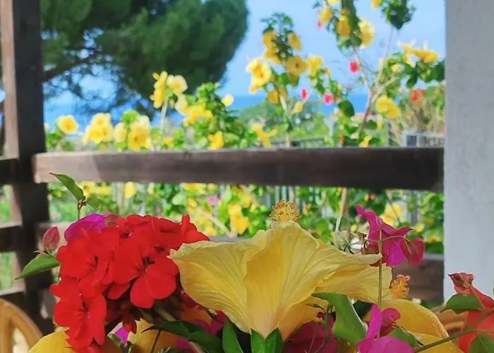 Casa Ibiscus Tropea Vakantiehuis Santa Domenica (Vibo Valentia)