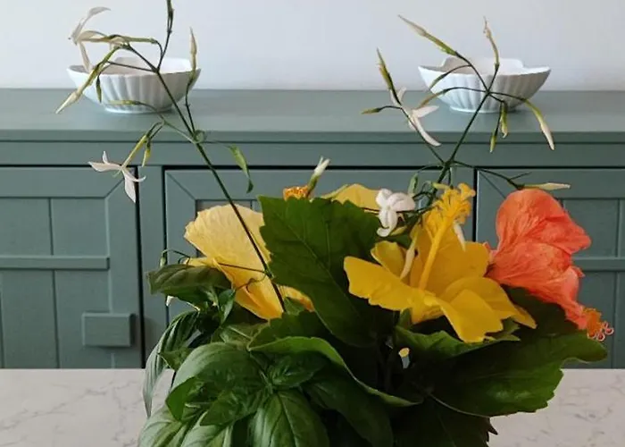 Casa Ibiscus Tropea *