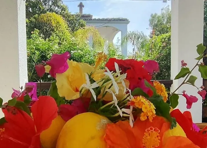 Casa Ibiscus Tropea Санта-Доменика